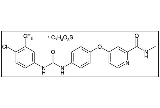 Chemical structure of sorafenib.