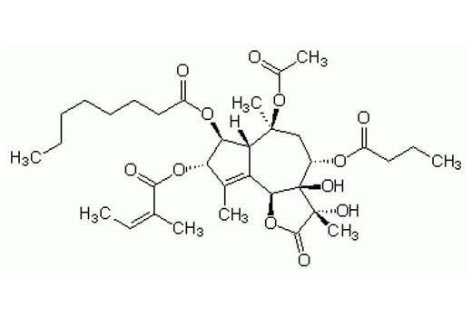 Chemical structure of Thapsigargin.
