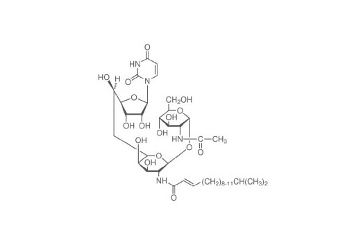 Chemical structure of Tunicamycin.