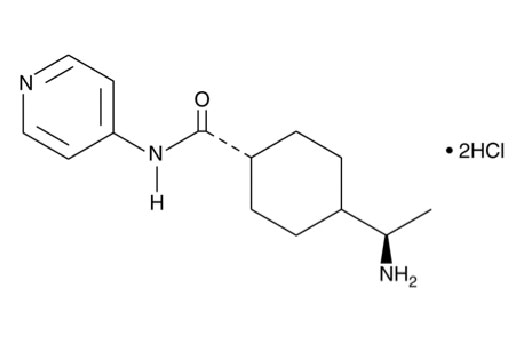 Chemical structure of Y-27632.