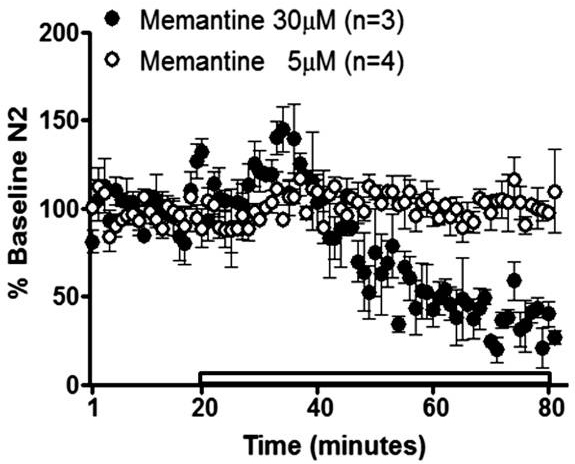  Averaged time courses of NMDA receptor-isolated synaptic field potentials in dorsal lateral bed nucleus of the stria terminalis following 60 minutes of memantine (5 or 30 μM; ab120249) in naive adult male C57BL/6J mice.