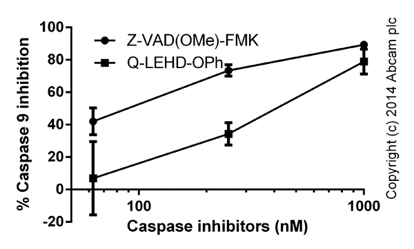  Functional assays: Caspase 9 Inhibitor Drug Detection Kit (ab102497) Titration of the caspase inhibitors Z-VAD(OMe)-FMK (ab120487) and Q-LEHD-Oph (ab142039) (duplicates; +/- SD).