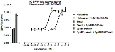 To determine the apparent KD for ab118175 at histamine H2 receptor, cells were treated with varying concentrations of histamine agonist alone, or in the presence of 1 µM ab118175, and the cyclic AMP-induced expression of SPAP measured. The apparent KD at H2 was calculated from the rightward shift of the agonist response curve in the presence of ab118175, compared to the response curve for the agonist alone. KD value for H2 was found to be 8.94 Antagonist -log KD.