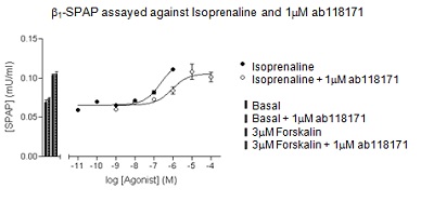  The apparent KD was calculated from the rightward shift of the agonist response curve in the presence of ab118171, compared to the response curve for the agonist alone, for β1 receptor expressing cell line.