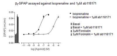 The apparent KD was calculated from the rightward shift of the agonist response curve in the presence of ab118171, compared to the response curve for the agonist alone, for β2 receptor expressing cell line.