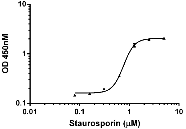  Example of IC50 determination. HeLa cells were treated with a dose titration of Staurosporine for 4 hours in complete media. Cells were cultured and treated in a 96-well cell culture microtiter plate. Lysates were prepared by direct in-well lysis without media removal: 2X Cell Extraction Buffer PTR was added to an equal volume of media and then resulting lysate was used directly in the Cleaved PARP SimpleStepTM ELISA assay. Raw values for triplicate measurements are plotted. The calculated IC50 is 0.77 µM.