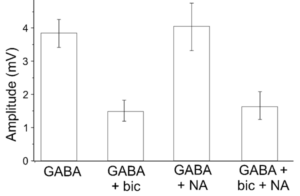  Group data for responses to GABA alone or in the presence of bicuculline (bic, ab120110) and/or nipecotic acid (NA).
