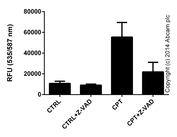  Functional assays: Caspase 3 (active) Red Staining Kit (ab65617) Caspase 3 activity in Jurkat cells (3 x10e5 cells) following 24 hour exposure to 2 uM Camptothecin (ab120115) with or without 50 μM caspase inhibitor Z-VAD(OMe)-FMK (ab120487). Background signal subtracted, duplicates; +/- SD.