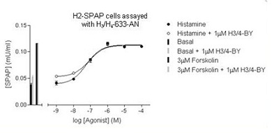  To determine the apparent KD for ab118649, cells were treated with varying concentrations of histamine alone, or in the presence of 1 µM ab118649, and the cyclic-AMP induced expression of SPAP measured. The apparent KD was calculated from the rightward shift of the agonist response curve in the presence of ab118649, compared to the response curve for the agonist alone. Antagonist –log KD values for H1= 6.55, H2 =5.71, H3 = 7.09