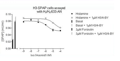  To determine the apparent KD for ab118649, cells were treated with varying concentrations of histamine alone, or in the presence of 1 µM ab118649, and the cyclic-AMP induced expression of SPAP measured. The apparent KD was calculated from the rightward shift of the agonist response curve in the presence of ab118649, compared to the response curve for the agonist alone. Antagonist –log KD values for H1= 6.55, H2 =5.71, H3 = 7.09