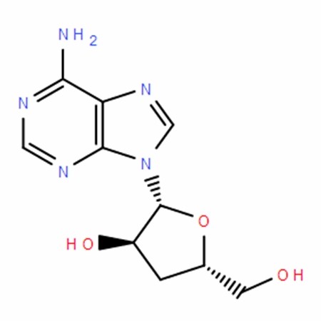 Chemical structure of Cordycepin