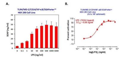 Ligand Activation: Human TLR4/MD-2/CD14 SEAP - (SEAPorter™) Stable Reporter Cell Line [NBP2-26503] - TLR4/MD-2/CD14 reporter cell line  was plated in 96-well plates at 1 x 10^5 cells/well. After 16 h, cells were stimulated with various amount of LPS  for 24 h. SEAP was analyzed using the SEAPorter Assay Kit. A. LPS-mediated TLR4 activation, as measured by SEAP activity, was increased in a dose dependent manner. B. The values from (A) were used to determine the EC50 of LPS. The EC50, or the half maximal activity concentration, represents the concentration of LPS that was required for 50% activation of TLR4 as measured by SEAP activity.  Data Summary: The cell line was activated by LPS in a dose-response manner, of which EC50 was measured as 8.98 ng/ml.