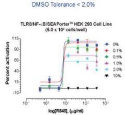 Ligand Activation: Human TLR8 NF-kB/SEAP - (SEAPorter™) Stable Reporter Cell Line [NBP2-26279] - The TLR8 reporter line was plated in 96-well plates at 5 x 10^4 cells/well. After 16 h, cells were stimulated with various amounts of R848 in the presence of different amounts of DMSO as noted for 24 h. SEAP was then analyzed using  SEAPorterTM Assay Kit.