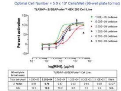 Ligand Activation: Human TLR8 NF-kB/SEAP - (SEAPorter™) Stable Reporter Cell Line [NBP2-26279] - The TLR8 reporter line was plated in 96-well plates at different concentrations of cells (100 ul/well) as noted in the figure. After 16 h, cells were stimulated with various amounts of R848, for 24 h. Secreted alkaline phosphatase (SEAP) was analyzed using SEAPorterTM Assay Kit. Z' factor and Signal vs. Background (S/B) ratio were evaluated for each cell concentration set.