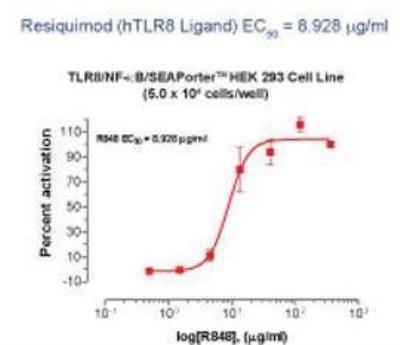 Ligand Activation: Human TLR8 NF-kB/SEAP - (SEAPorter™) Stable Reporter Cell Line [NBP2-26279] - The TLR8 reporter line was plated in 96-well plates at 5 x 10^4 cells/well. After 16 h, cells were stimulated with various amounts of R848 for 24 h. SEAP was analyzed using SEAPorterTM Assay Kit. Dose-responsive percent activation of each sample well was calculated to yield the ligand EC50 value.
