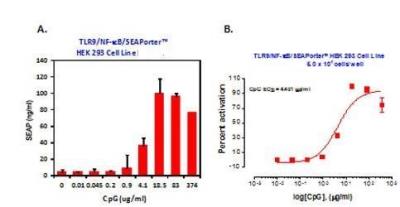 Ligand Activation: Human TLR9 NF-kB/SEAP - (SEAPorter™) Stable Reporter Cell Line [NBP2-26280] - LR9/NF-kB SEAPorterTM HEK 293 cells were plated in 96-well plates at 5 x 10^4 cells/well. After 16 h, cells were stimulated with various amount of CpG for 24 h. SEAP was analyzed using the SEAPorter Assay Kit. A. CpG-mediated TLR9 activation, as measured by SEAP activity, was increased in a dose dependent manner. B. The values from (A) were used to determine the EC50 of CpG. The EC50, or the half maximal activity concentration, represents the concentration of CpG that was required for 50% activation of TLR9 as measured by SEAP activity.   Data Summary: CpG activated the cell line in a dose response manner, of which EC50 was measured as 4.401 ug/ml.