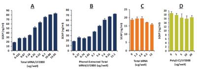 Ligand Activation: Mouse TLR13 NF-kB/SEAP - (SEAPorter™) Stable Reporter Cell Line [NBP2-26290] - TLR13/NF-kB SEAPorter (TM) HEK 293 cells were plated in a 96-well plate at 5 x 10^4 cells per well. Cells were stimulated with various amounts of total bacterial RNA packed with Lipofectamine 2000 (A), phenol extracted total bacterial RNA packed with Lipofectamine 2000 (B), bacterial total RNA alone (C) and poly(I:C) packed with Lipofectamine 2000 (D) for 24 h. SEAP was then analyzed using the SEAPorter Assay Kit. Data Summary: TLR13 in the TLR13/NF-kB SEAPorter (TM) HEK 293 cell line was only activated by the bacterial RNA packed with Lipofectamine 2000 (A & B) but not by the unpacked bacterial RNA (C) or poly(I:C) packed with Lipofectamine 2000 (D).