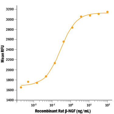 Recombinant Rat beta -NGF (Catalog # 556‑NG/CF) stimulates cell proliferation of the TF-1 human erythroleukemic cell line. The ED 50 for this effect is 0.1-0.6 ng/mL.