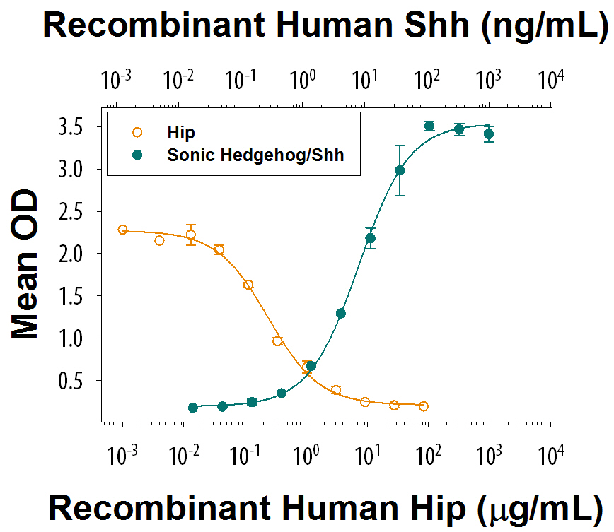 Recombinant Human Sonic Hedgehog/Shh (Catalog # 8908-SH) induces alkaline phosphatase production in C3H10T1/2 cells (green line). Recombinant Human Hip (Catalog # 9280-HP) inhibits a constant dose of 20 ng/mL of Recombinant Human Sonic Hedgehog/Shh Protein, High Activity (Catalog # 8908-SH ) in C3H10T1/2 mouse embryonic fibroblasts with an ED 50 = 0.1-0.6 µg/mL (orange line).