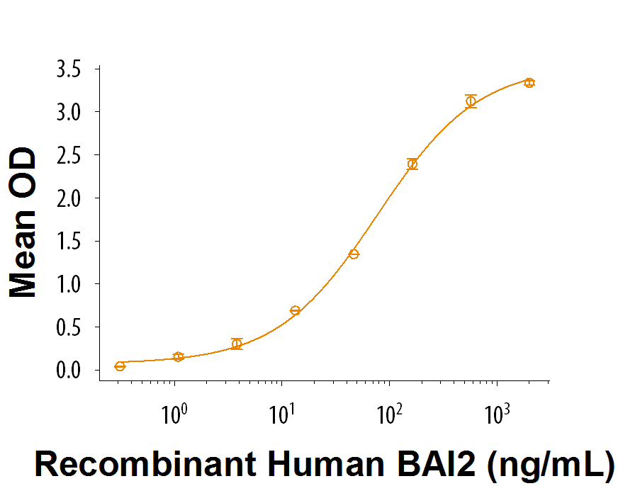 WhenRecombinant Human C1qL3 (Catalog # 9115-TN ) is coated at 2 µg/mL (100 μL/well), Recombinant Human BAI2 FcChimera (Catalog # 9338-BA) binds with an ED 50 of 25-150 ng/mL.