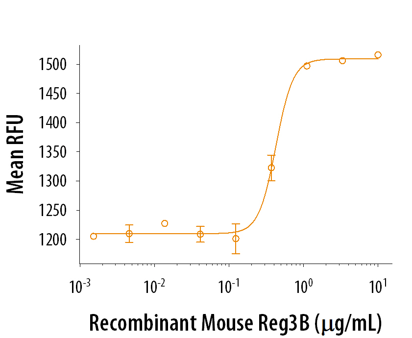 Recombinant Mouse Reg3B stimulates cell proliferation in RT4-D6P2T rat schwannoma cells. The ED 50 for this effect is typically 0.2-1 µg/mL.
