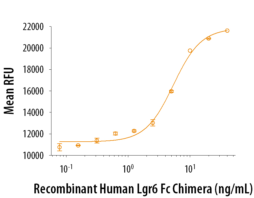 Recombinant Human Lgr6 induces Topflashreporter activity in HEK293T human embryonic kidney cells. The ED 50 for this effect is typically2.5-12.5 µg/ml in the presence of 10 ng/ml Recombinant Mouse Wnt-3a (Catalog #1324-WN).