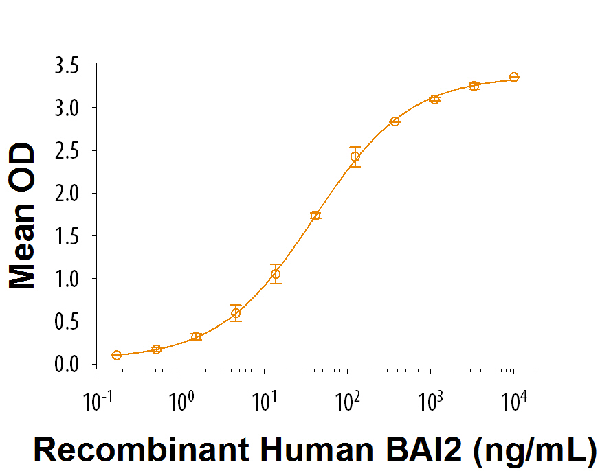 When Recombinant Human C1qL3 (Catalog # 9115-TN) is coated at 1 µg/mL, Recombinant Human BAI2 Fc Chimera binds with a typical ED 50 of 10-60 ng/mL.