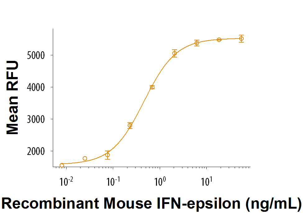 Recombinant Mouse IFN-epsilon (Catalog # 9147-ME/CF) demonstrates anti-viral activity in L‑929 mouse fibroblast cells infected with encephalomyocarditis (EMC) virus. The ED 50 for this effect is typically 0.2-1 ng/mL.