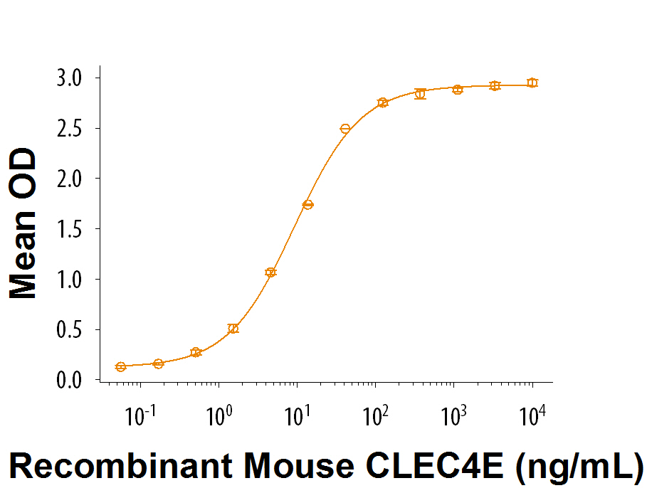 WhenTrehalose 6, 6'-Dimycolate is immobilized at 1 µg/mL (100 µL/well), Recombinant Mouse CLEC4E Fc Chimera (Catalog# 9238-CL) binds with an ED 50 of 8-48 ng/mL.