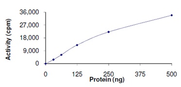 Sample Kinase Assay showing the specific activity of ab167922 as 6 nmol/min/mg.