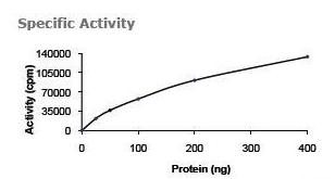 The specific activity of ab84539 was determined to be 46 nmol/min/mg by activity assay.