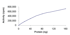 Sample Kinase Activity Plot.
