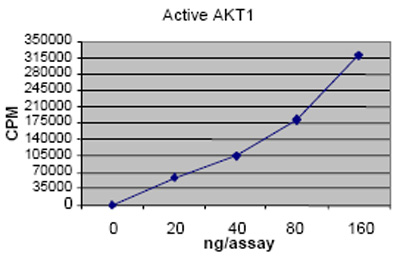 ab62279 Kinase activity plot.