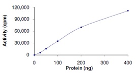 The specific activity of ab119720 was determined to be 20 nmol/min/mg