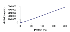 Sample Kinase Activity Plot.