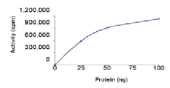 Sample Kinase Activity Plot.