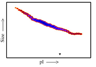 Densitometry of protein isoforms visualised by 2-DE. The densitometry scan demonstrates the purified Human cell expressed protein exists in multiple isoforms, which differ according to their level of post-translational modification. The triangle indicates the theoretical MW and pI of the protein.
