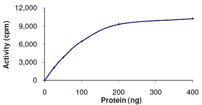 Kinase Assay demonstrating specific activity of ab105908 at 3 nmol/min/mg.