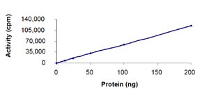 The Specific activity of ab84771 was determined to be 35 nmol/min/mg.