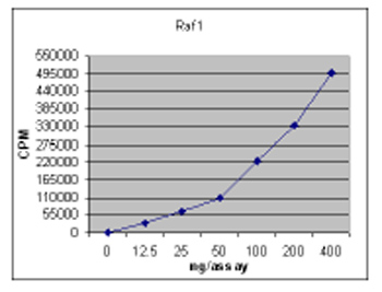ab62292 Kinase assay plot
