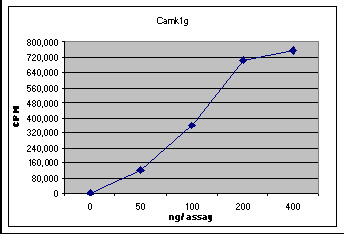 ab61917 Kinase activity assay.