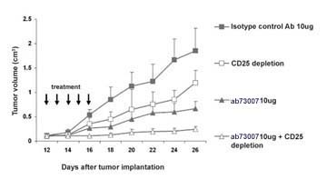 Effect of ab73007 on the growth of tumor cells. ab73007 prevents growth of a mouse solid tumor, RENCA. The immunotherapy is more more effective in combination with CD25+ depletion and ab73007.