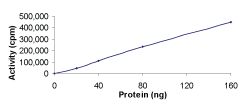 Sample Kinase Activity Plot.