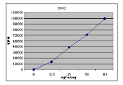 ab62285 Kinase activity assay plot