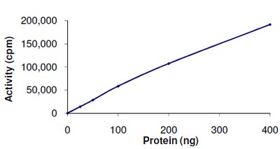 The Specific activity of ab101778 was determined to be 28 nmol/min/mg.
