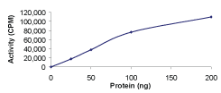 Sample Kinase Activity Plot.