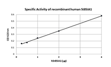 Human ST8SAI1 is able to transfer Neu5Ac from CMP-Neu5Ac to fetuin in a dose dependent manner with an activity of > 12.5 pmole/µg/min. The activity was measured by a phosphatase-coupled assay.