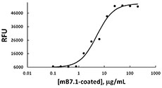 Recombinant mouse B7.1, when immobilized on a plate (100 µl/well), is able to induce proliferation of human T cells in the presence of anti-CD3 antibody in a dose dependent manner. The ED 50 is 2.25 - 9.0 µg/ml. Results may vary depending on human donors.