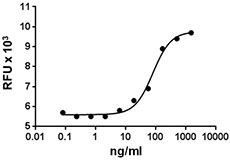 BALB/3T3 cell proliferation induced by mouse amphiregulin.