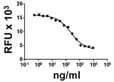 Inhibition of M07e cells proliferation induced by IL-2 in the presence of mouse IL-2Rα.